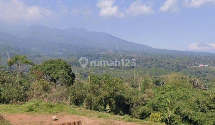 Tanah Pekarangan di Pasigitan Boja, Kota Semarang 2