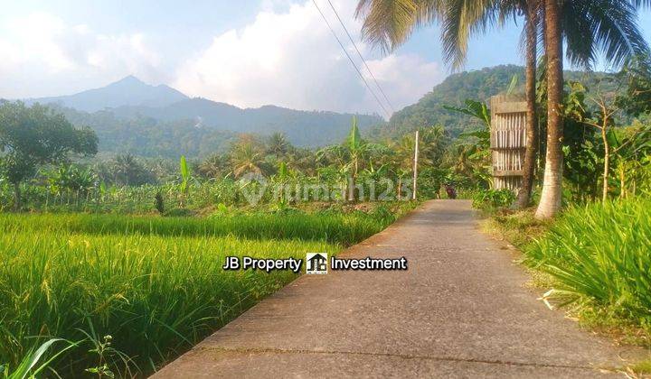 Tanah View Gunung dekat Wisata Muncul Banyubiru Ambarawa 1