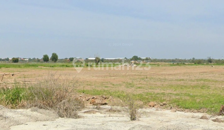 Industrial Land in Kaliwungu Kendal Near Kik Warehouse Port Industrial Land in Kaliwungu Kendal Near Kik Warehouse Port