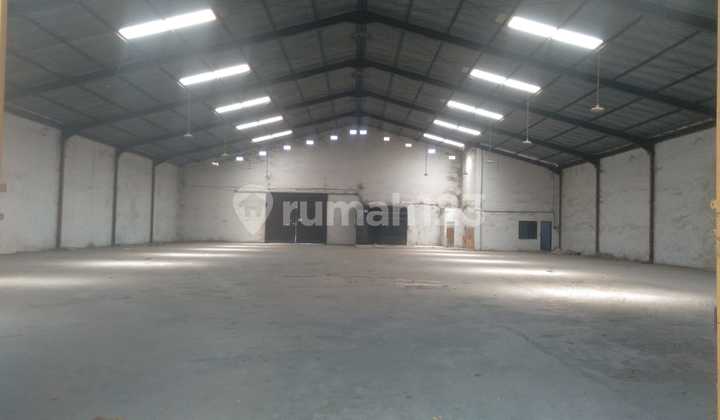 Gudang Disewakan di Semarang Jalan Raya Semarang Demak 2