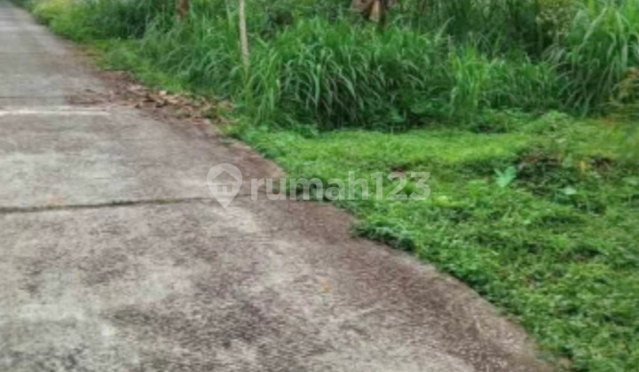 Yard Land in Bandungan, Semarang Yard Land in Bandungan, Semarang