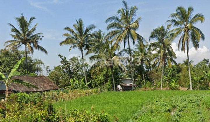 Tanah Bandungan View Gunung Dan Suasana Pedesaan 1