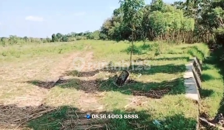 Tanah Perumahan Di Suruh Kabupaten Semarang 1