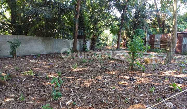 Land in Susukan, East Ungaran Near Jateng Valley 2