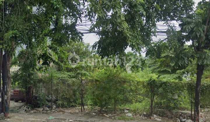 Tanah Disewakan / Dijual Di Jalan Majapahit Semarang Jawa Tengah Tanah Disewakan / Dijual Di Jalan Majapahit Semarang Jawa Tengah