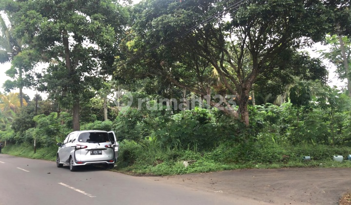 Land in Argomulyo Randuacir Near Wahid Housing Salatiga Land in Argomulyo Randuacir Near Wahid Housing Salatiga