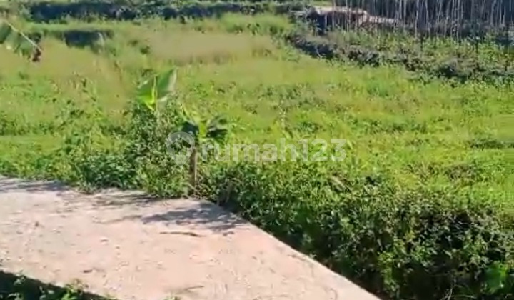 Tanah Di Sumowono Semarang View Gunung Ungaran Tanah Di Sumowono Semarang View Gunung Ungaran