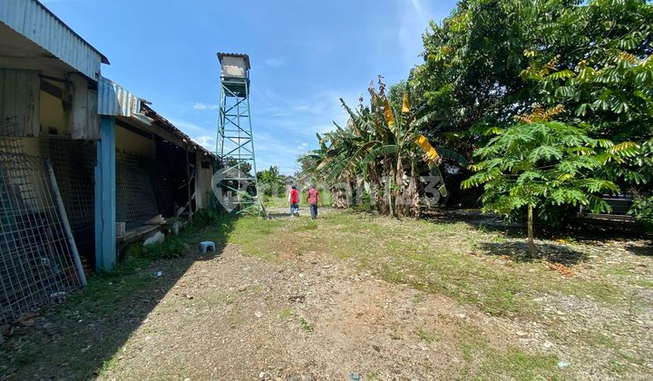 Ruang Usaha Tanah Bangunan Jl Kompol Maksum Peterongan Semarang 2