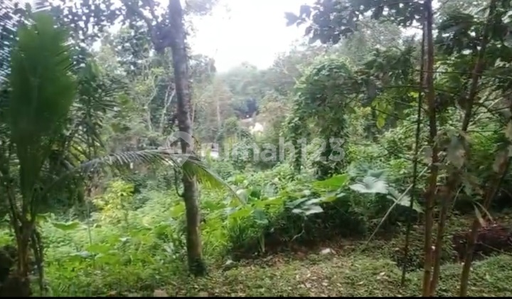 Tanah Dekat Goa Maria Kerep Di Pasekan Ambarawa