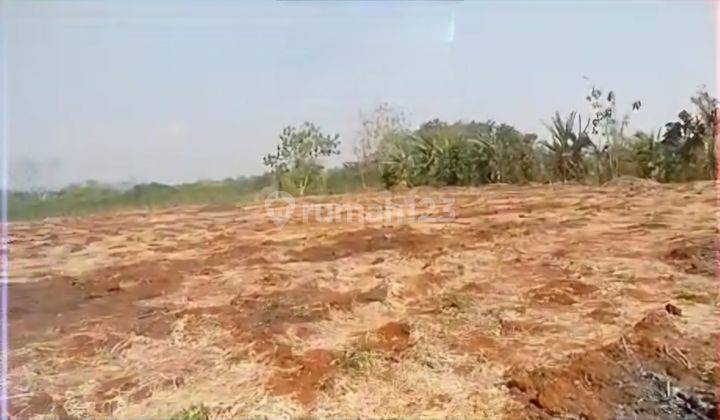 Tanah Industri Di Jepara Cocok Untuk Gudang Pabrik 2