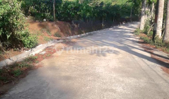 Tanah Kebun Kopi Di Sumowono Jambu Kabupaten Semarang 2