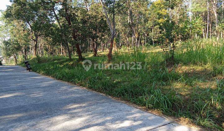 Tanah di Getasan dekat Hotel D'Emmerick Kopeng Kab Semarang 1