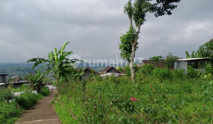 Tanah Dekat Wisata Celosia Gedongsongo Sumowono Semarang 2