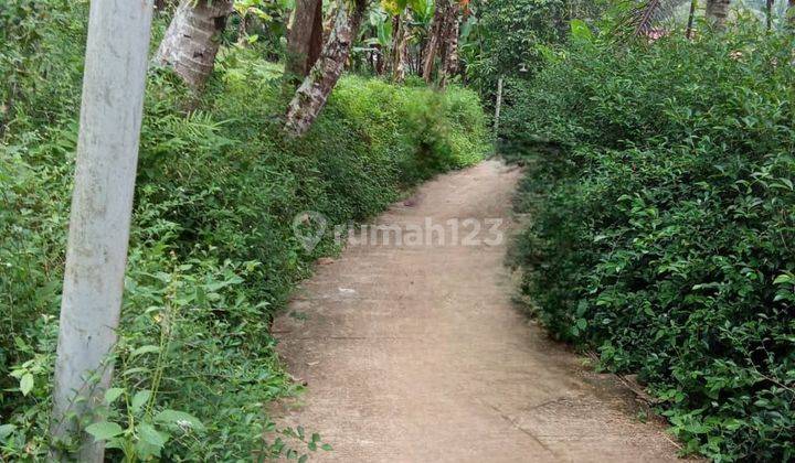 Tanah Pekarangan Asri di Banyubiru Ambarawa 2