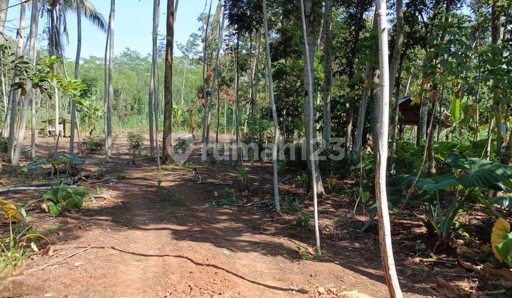 Residential Land in Wonolopo Near BSB Mijen, Semarang City 2