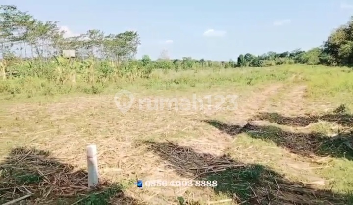 Tanah Perumahan Di Suruh Kabupaten Semarang 2