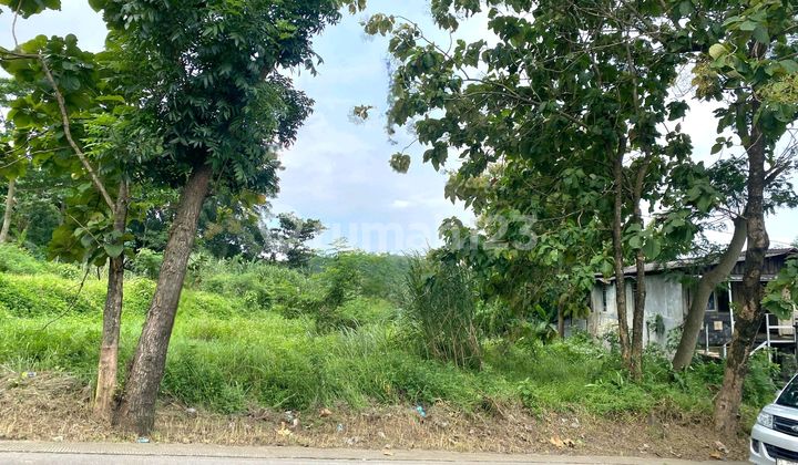 Land in Sekaran, Gunung Pati, Unnes Campus, Semarang 2