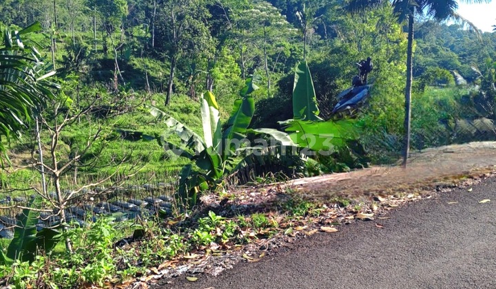 Tanah Di Sumowono View Cantik Tanah Di Sumowono View Cantik