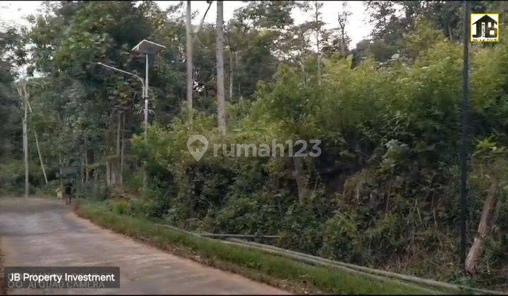 Tanah Kebun Durian Alpukat Lokasi dekat Goa Maria Ambarawa 2