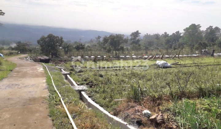 Tanah Di Bandungan Dekat Umbul Sidomukti Bandungan Semarang