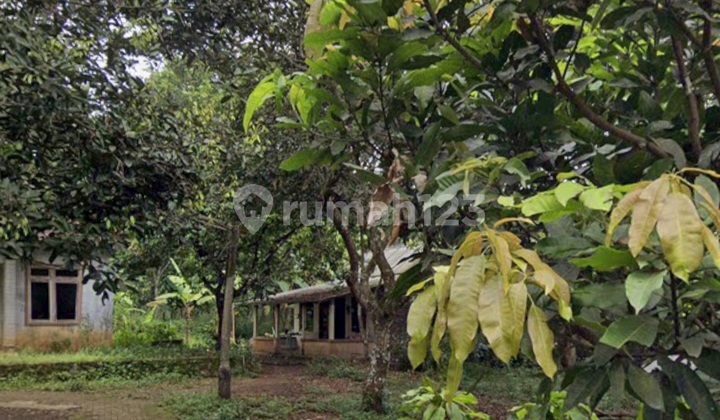 Residential Land Near Unnes Campus in Gunung Pati, Semarang Residential Land Near Unnes Campus in Gunung Pati, Semarang