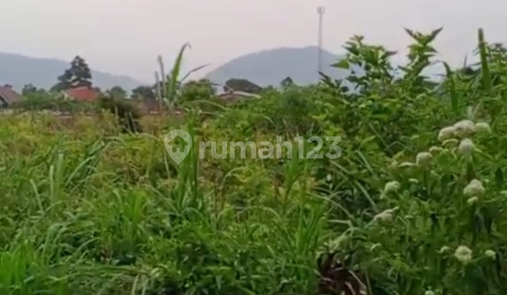 Tanah View Gunung Dekat Getasan - Wisata Kopeng 2