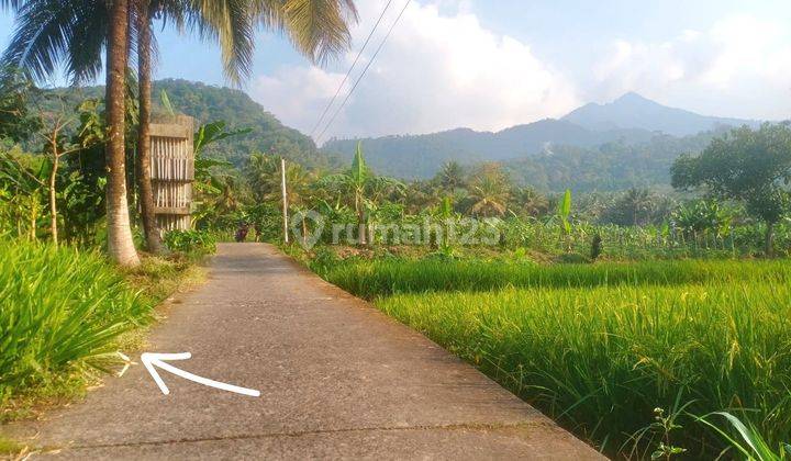 Tanah View Gunung dekat Wisata Muncul Banyubiru Ambarawa 2