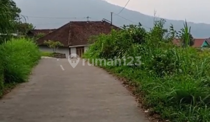 Tanah View Gunung Dekat Getasan - Wisata Kopeng 1