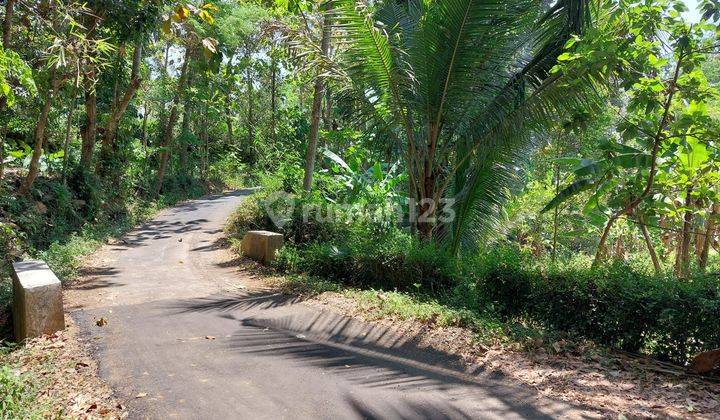 Tanah Kebun Durian dan Cengkeh di Ungaran Barat 2