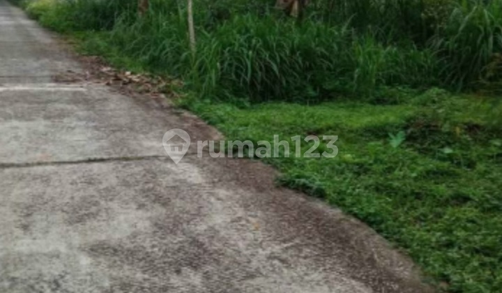 Tanah Pekarangan Di Bandungan Semarang 2