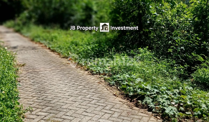 Tanah Kebun Untuk Peternakan Di Gunung Pati Semarang 1