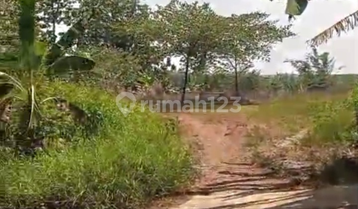 Ready-to-Build Residential Land in Mijen, Semarang 2