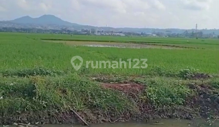 Tanah Sawah Murah Di Ambarawa Kabupaten Semarang