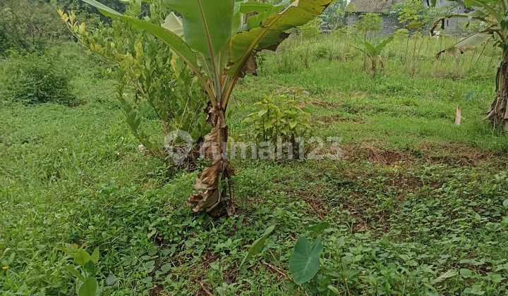Land in Mangunsari, Gunung Pati, Semarang 2
