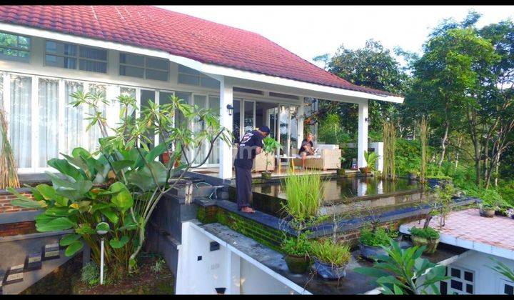 Rumah Cantik Asri dekat SMK Theresiana Sidorejo Salatiga  1