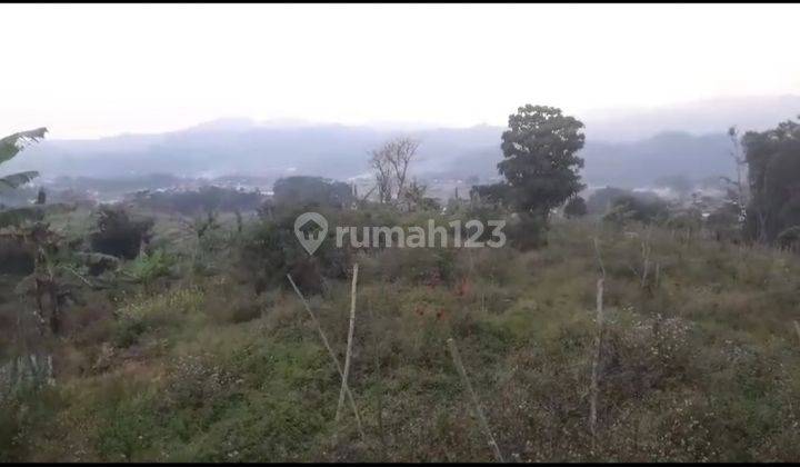 Tanah Kebun Cocok Untuk Villa Di Sumowono Bandungan Semarang 1