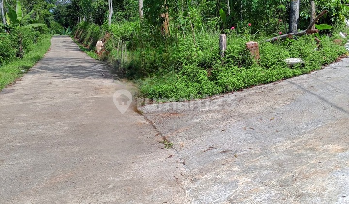 Tanah View Pegunungan Lokasi Dekat Wisata Bandungan Semarang 2