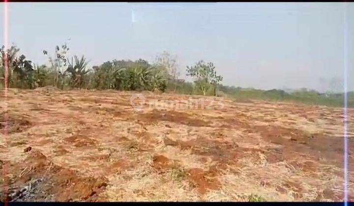 Tanah Industri Di Jepara Cocok Untuk Gudang Pabrik 1