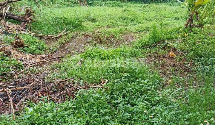 Land in Mangunsari, Gunung Pati, Semarang 1