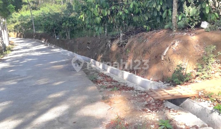 Coffee Garden Land in Sumowono, Jambu, Semarang Regency Coffee Garden Land in Sumowono, Jambu, Semarang Regency