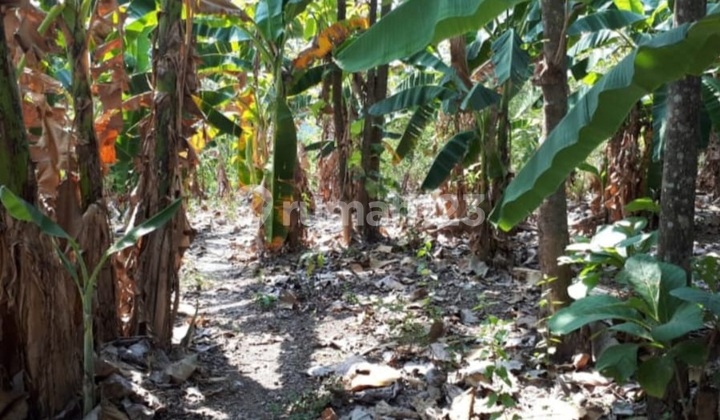 Tanah Kavling Bulusan Tembalang Undip Semarang 1