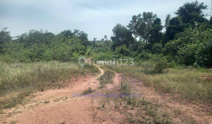 Lahan Industri Strategis di TB Karimun, Teluk Senang – Pasir Panjang 2