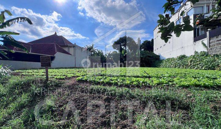 Tanah Kavling Matang Siap Bangun Setiabudi Regency Lokasi Sejuk Cocok Untuk Rumah Tinggal dan Villa 1