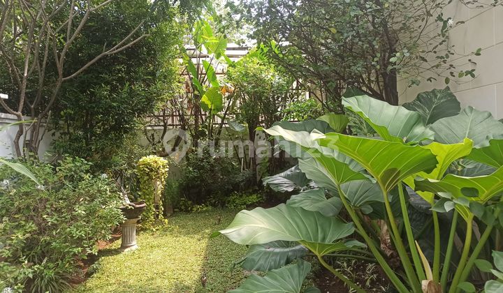 Dijual Rumah 2 Lantai di Menteng Jakarta Pusat 2