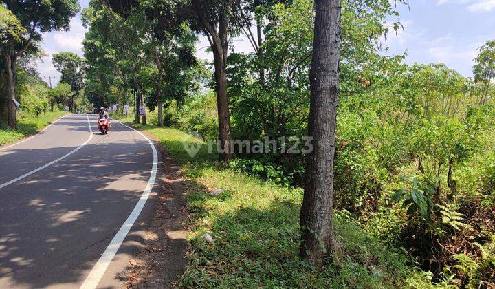 Dijual Lahan Pinggir Jalan Raya Cijayanti Alternatif Puncak 1