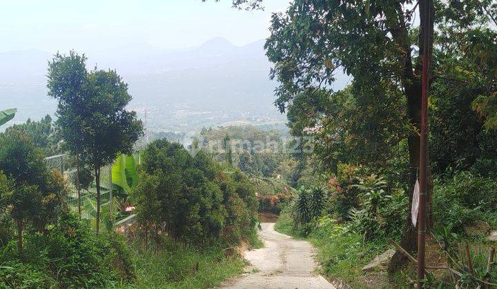 Tanah Kakek Dijual Di Cijeruk Pemandangan Nya Oke 1