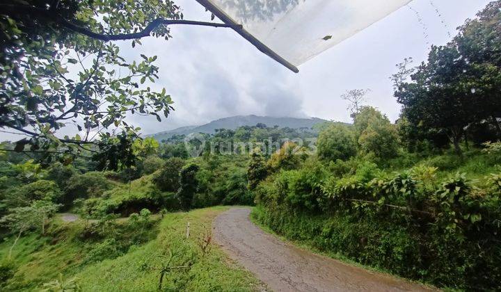 Tanah di Bogor cijeruk berada di kaki gunung salak 2