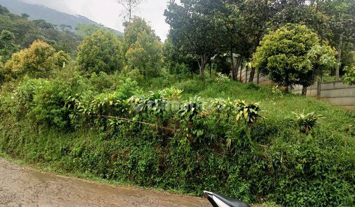 Tanah di Bogor cijeruk berada di kaki gunung salak 3
