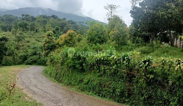 Tanah di Bogor cijeruk berada di kaki gunung salak 4