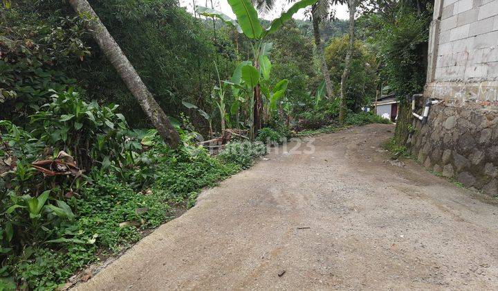 Tanah di Tajur halang 7000m² garapan ,bisa di mohon sertifikat  1